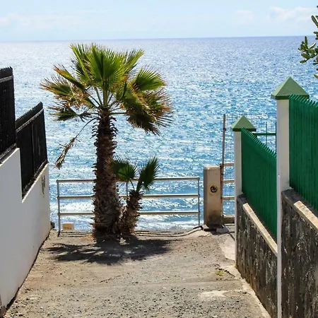 Bougainvillea Bamira Maspalomas (Gran Canaria)